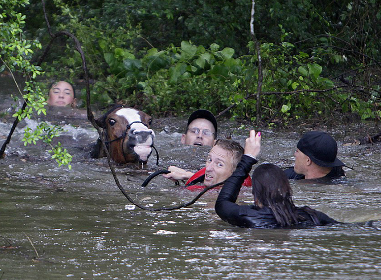 Flash Flooding, Swift Water Rescue, Floods, Dramatic Water Rescue